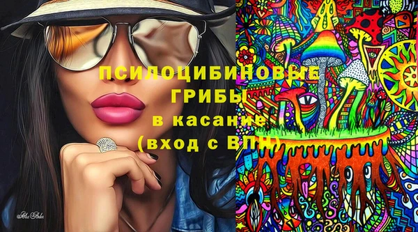 стафф Зерноград